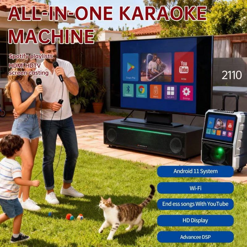 KTV tout-en-un avec écran et double microphones