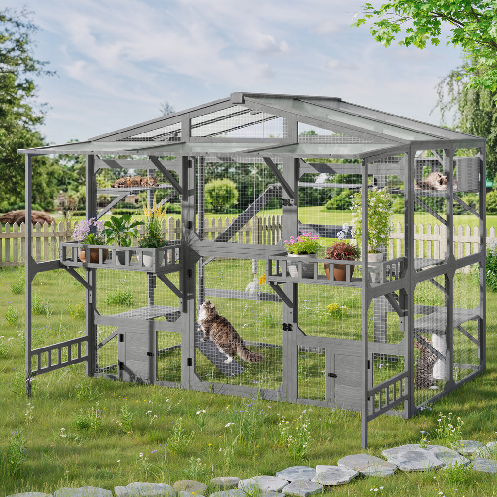 Grand Catio extérieur pour 6-10 Chats