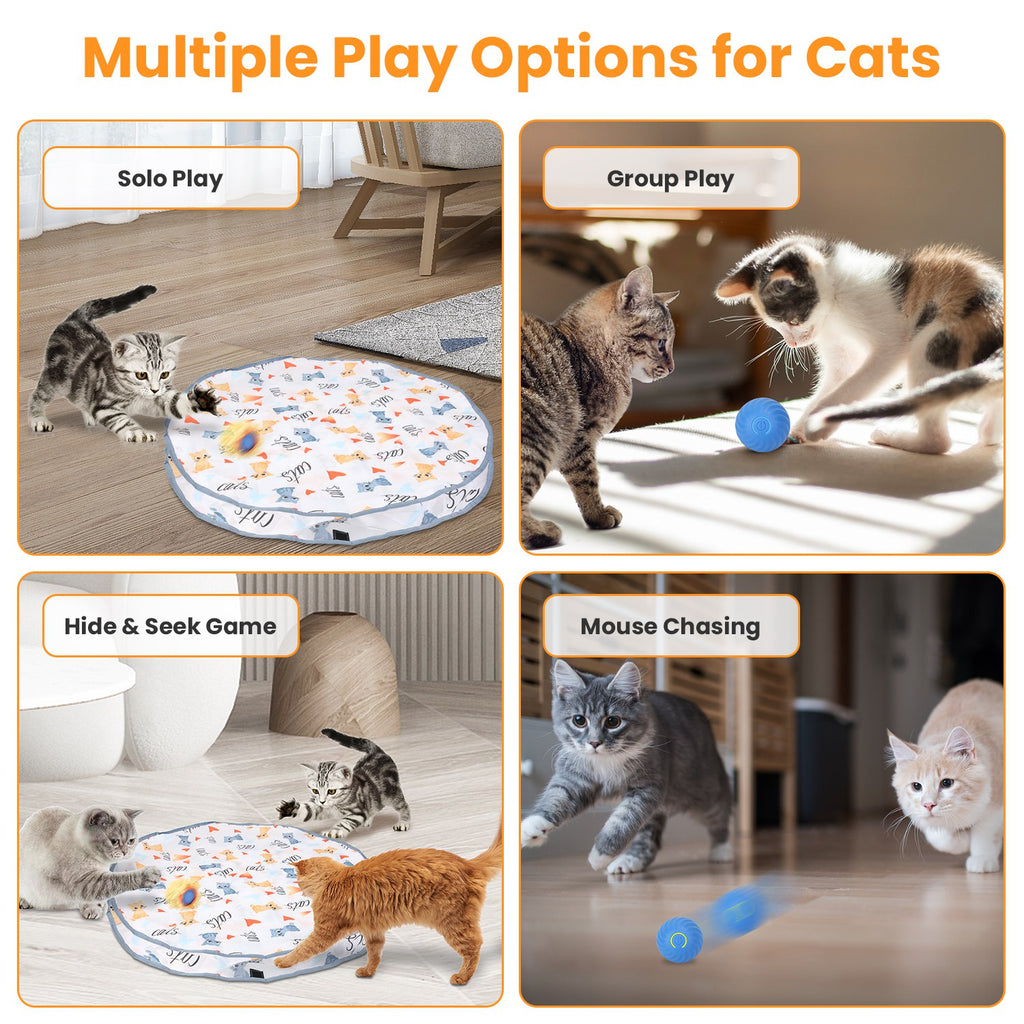 Jouets de chat 1Pc Ball rapide Rolling dans la poche Rechargeable Motion activé Jouets de chat interactifs