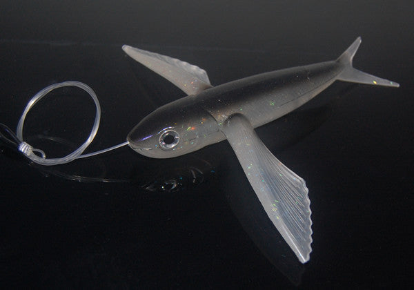 Poissons volants gris bleu Lure de mer profonde