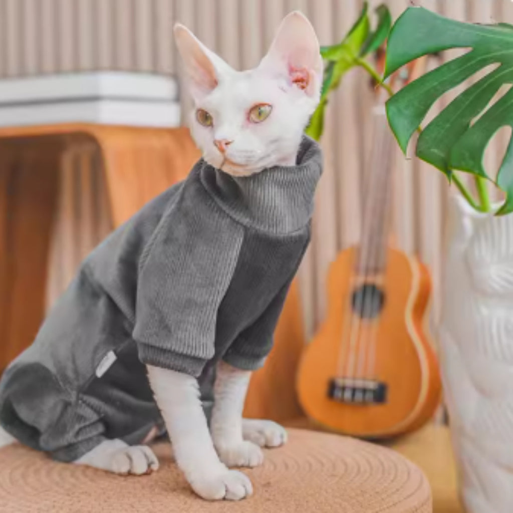 Habillements de chat sans poils recouverts de polaire