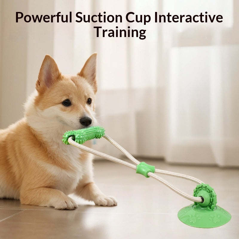 Jouet de dentition pour le jeu interactif d'animaux