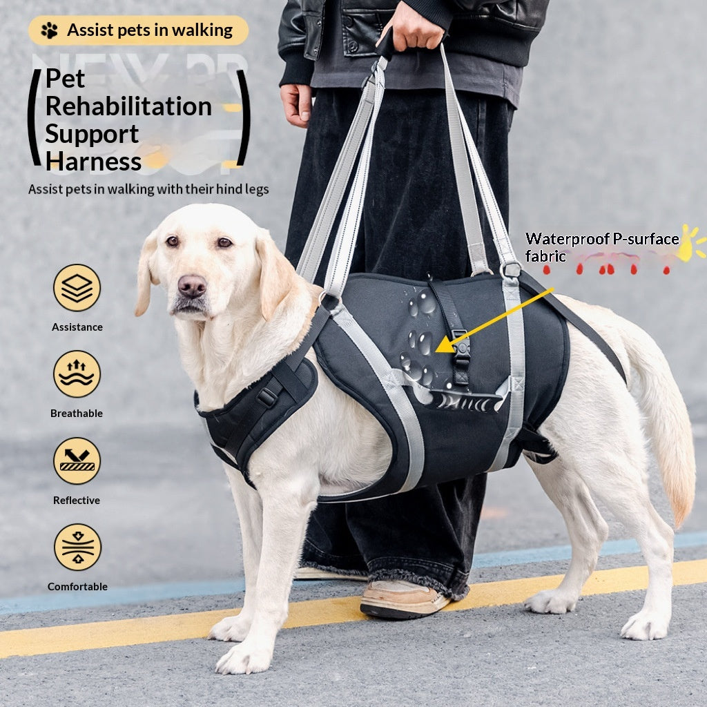 Harnais imperméable moyen à grand chien avec pinces réglables