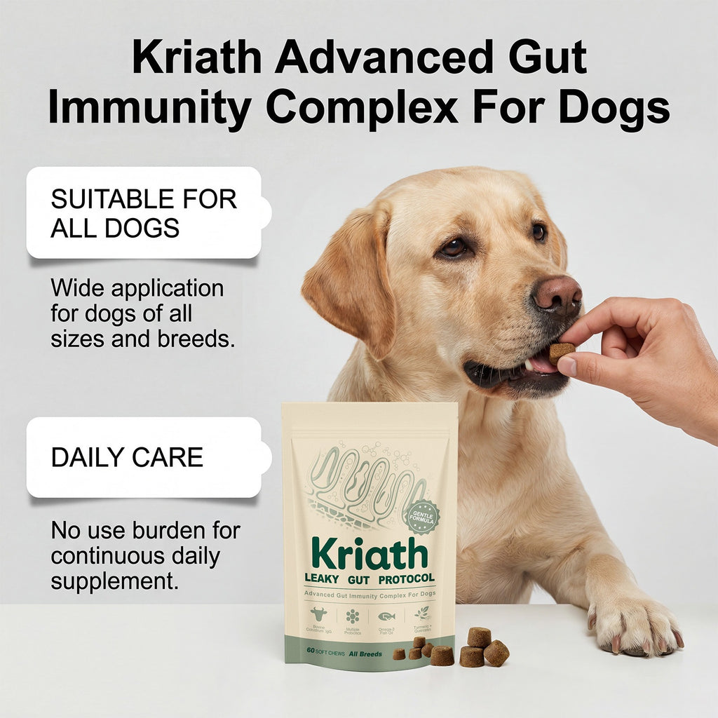 Supplément complexe de soins intestinaux Kriath Dog pour soutien nutritionnel