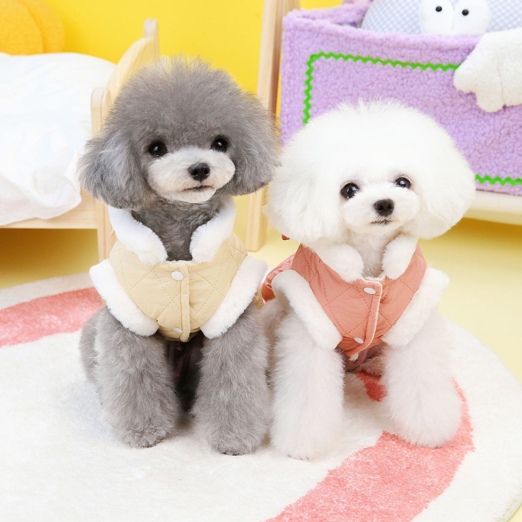 Vêtements de chien Petit chien Papillon Robe rembourrée en coton