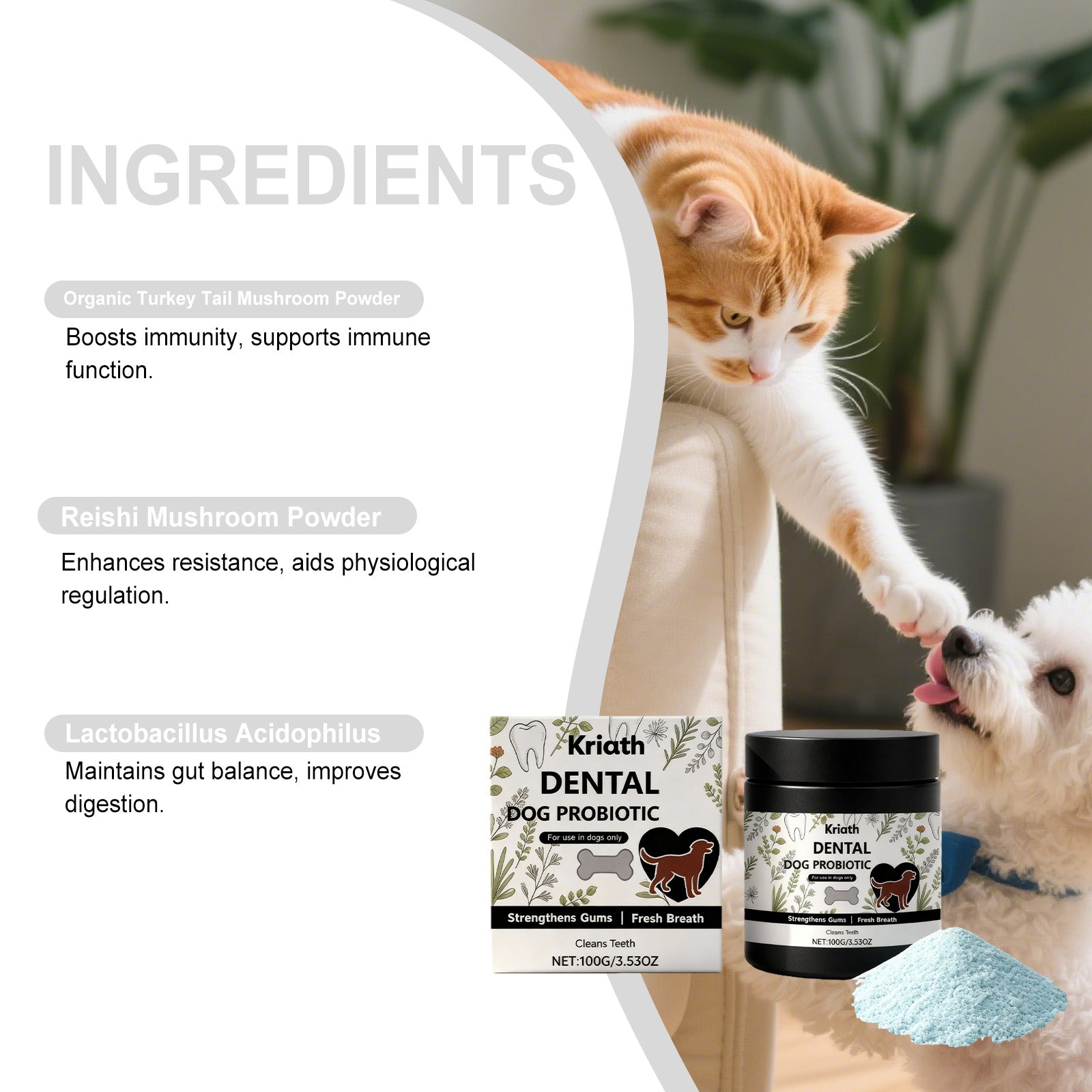 Supplément en poudre pour soins dentaires pour chiens