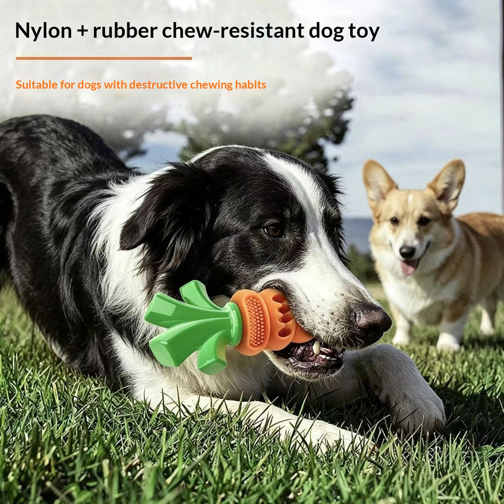 Chien en caoutchouc nylon Carotte Toydurable Bite résistant et résistant aux fuites