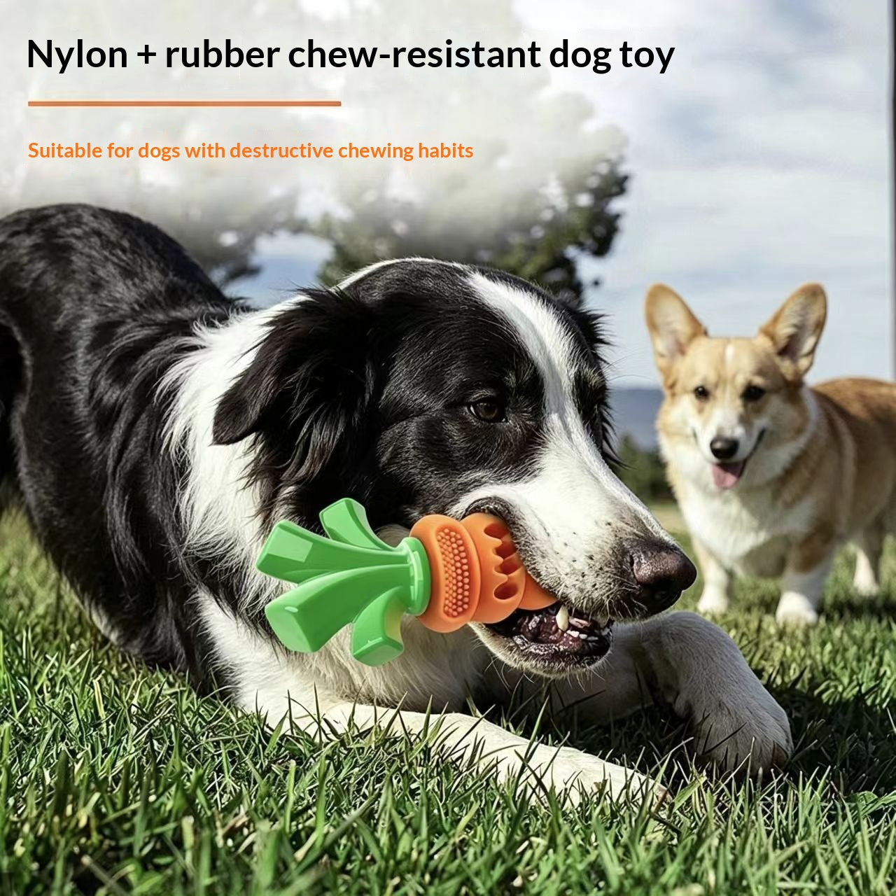 Chien en caoutchouc nylon Carotte Toydurable Bite résistant et résistant aux fuites
