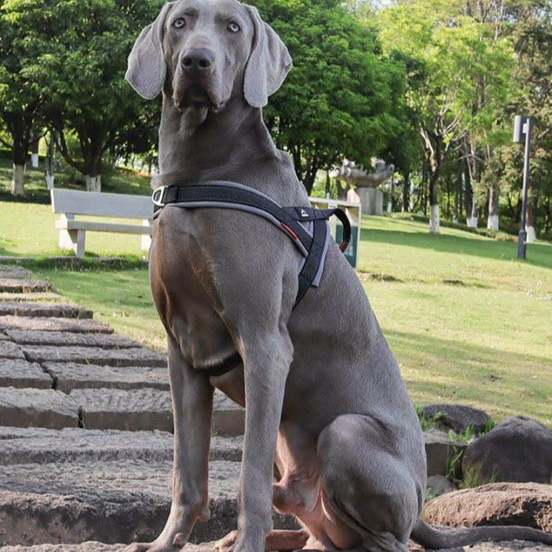 Poignée de poitrine antidéflagrante pour chiens