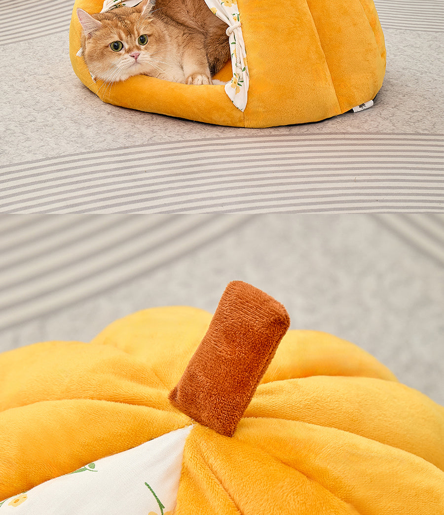 Lit de chat en forme de citrouille