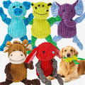 5 Paquets de jouets pour chiens