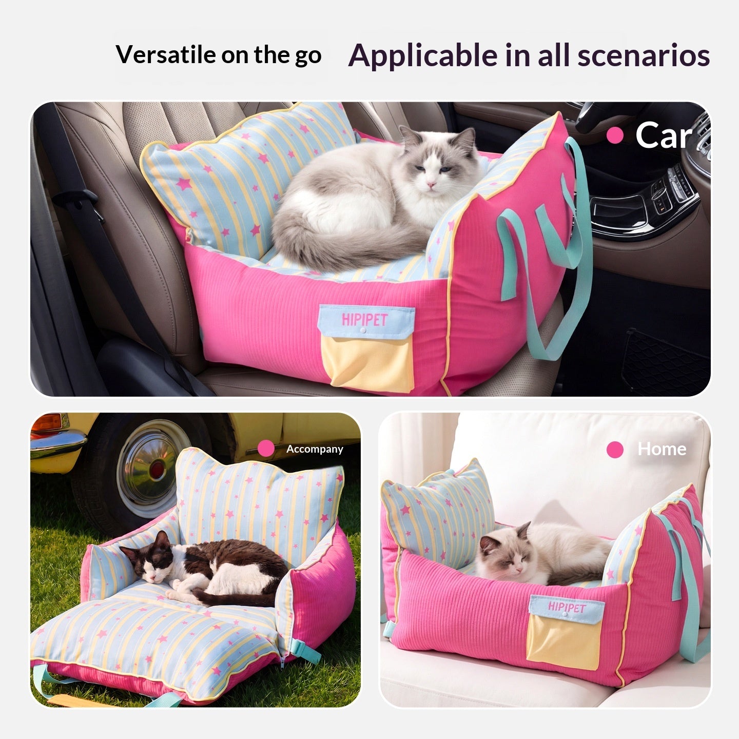 Transporteur de voitures pour animaux de compagnie Kennel extérieur et siège de sécurité portable Et détachable