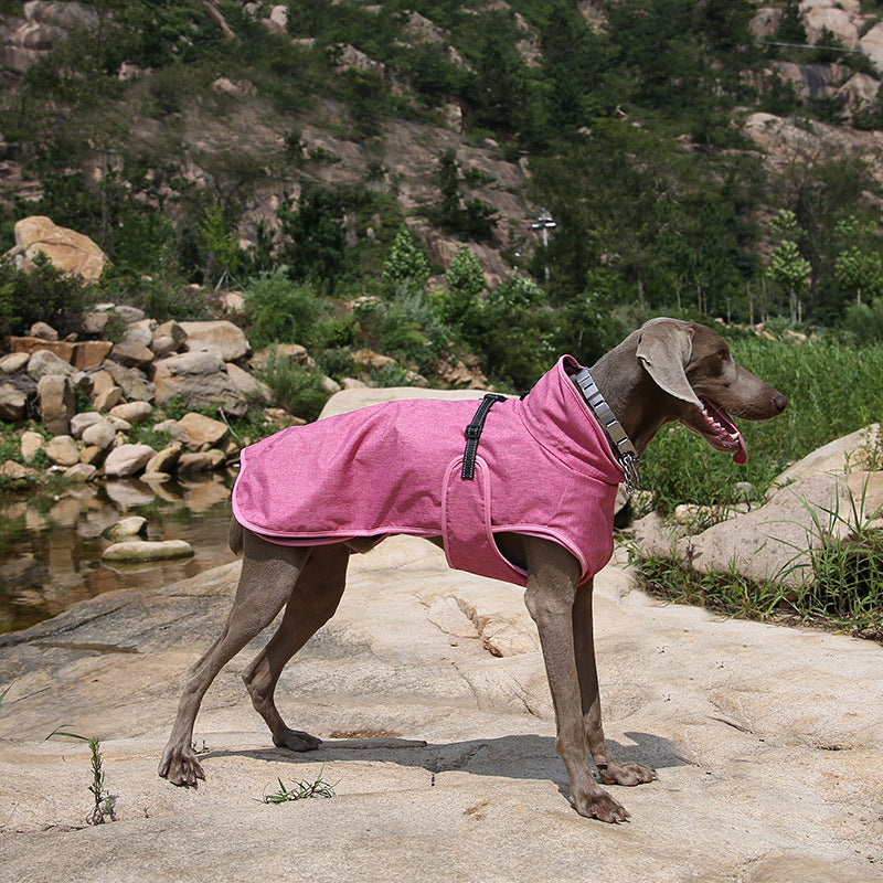 Pet Shell Veste Dog Hiver En plein air Costume de ski
