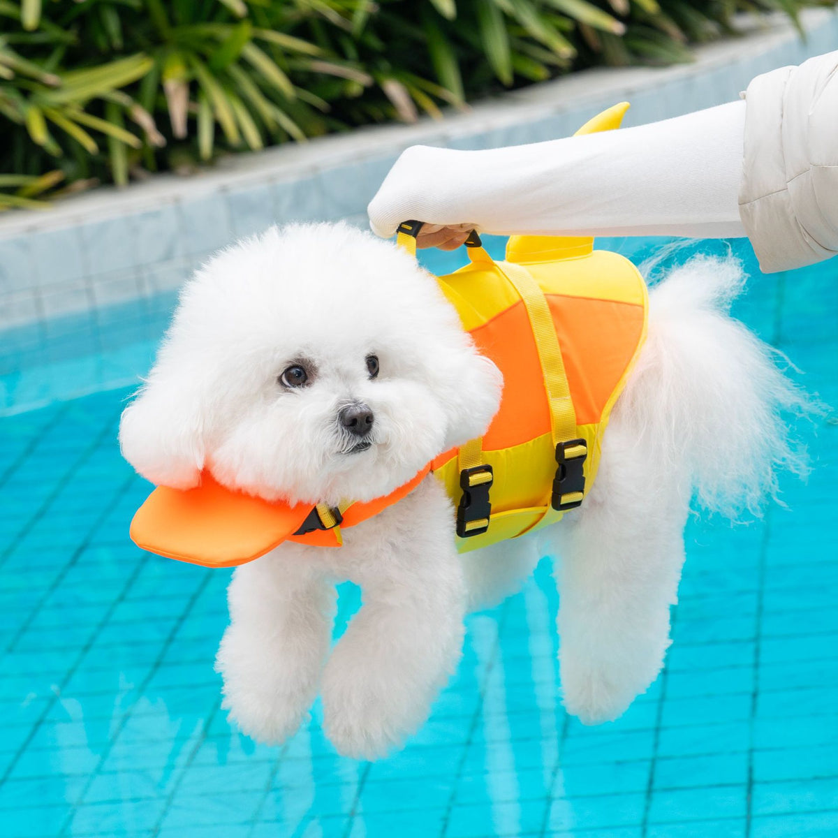 Veste de vie pour animaux Veste de vie pour chiens