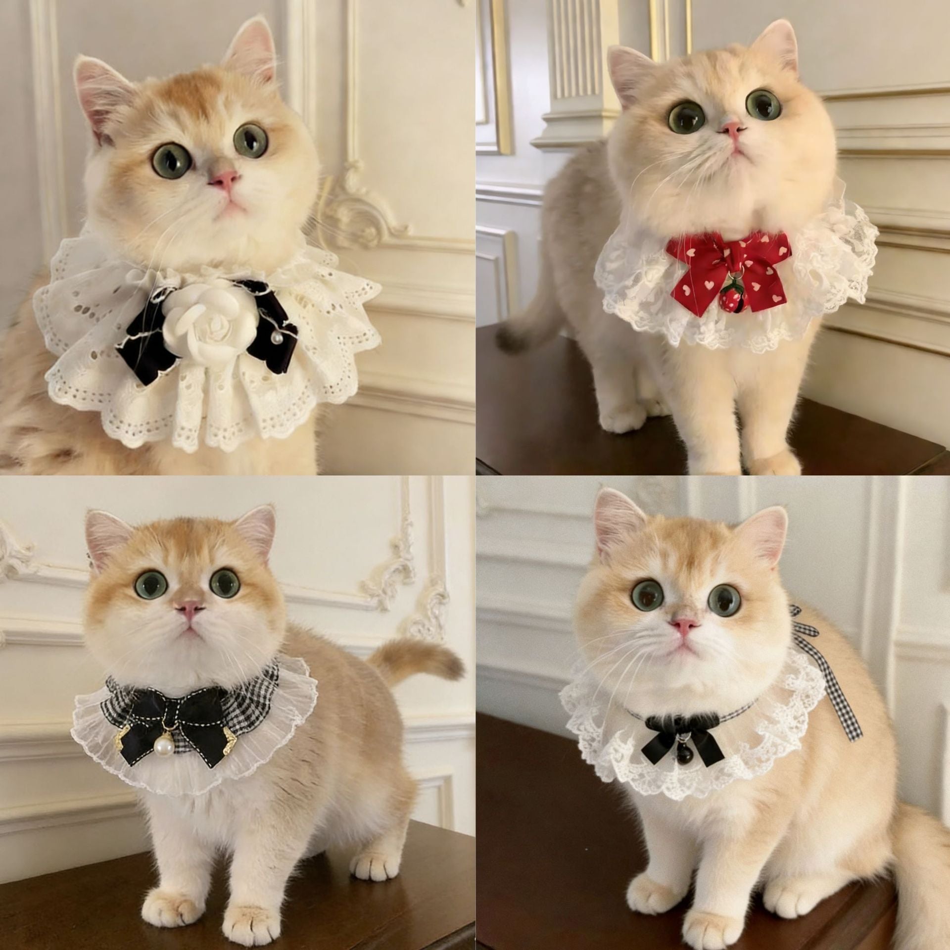 Mignon Bow-Knot Fairy Cat Drool Bib