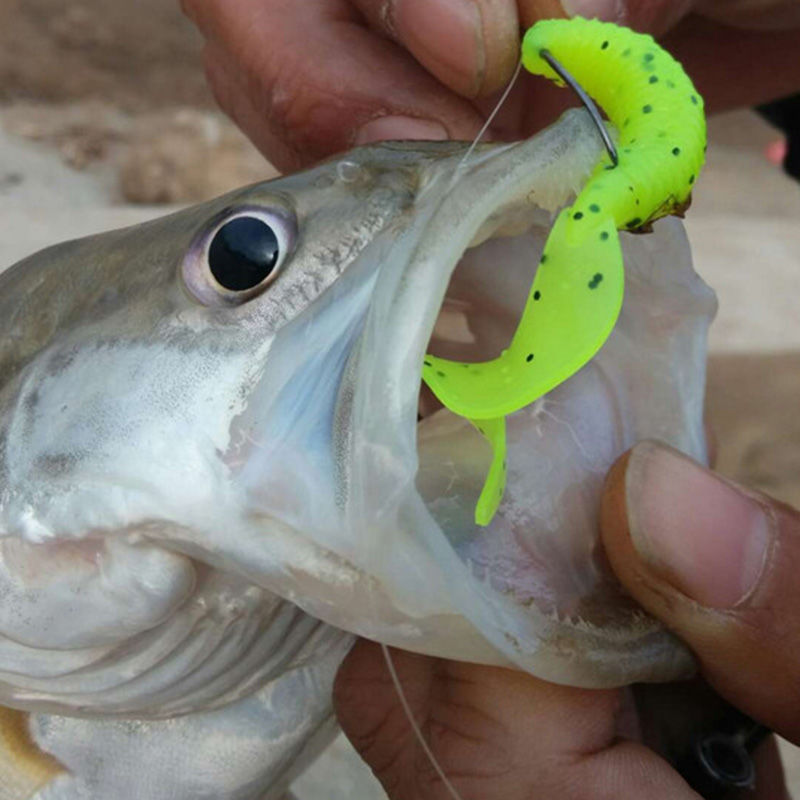 Bâton Tête Crochet Capucin Maggot Mandarin Poisson But général