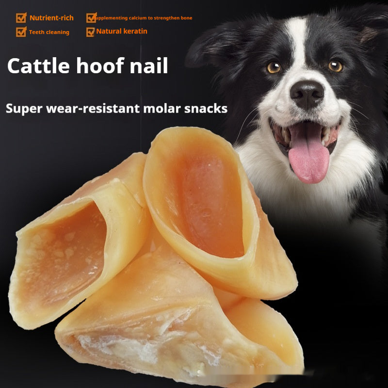 Anti-Bite Chien Snacks Grinding Rod