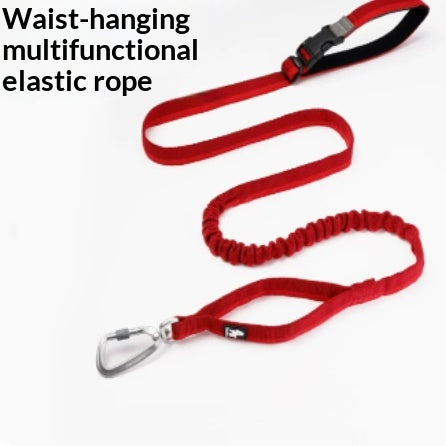 Pet Dog laisse avec élastique adapté pour courir et activités de plein air peut être attaché à