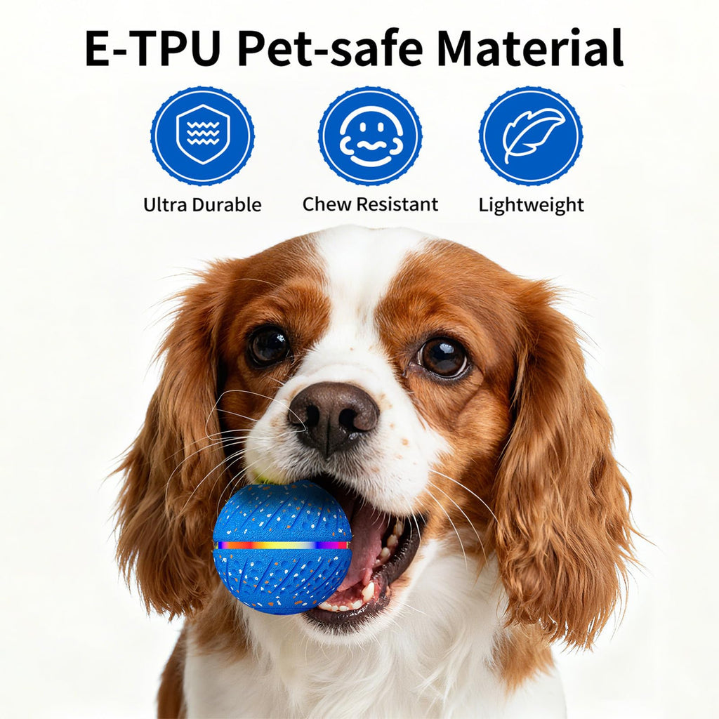 Balle interactive de jouets pour chiens