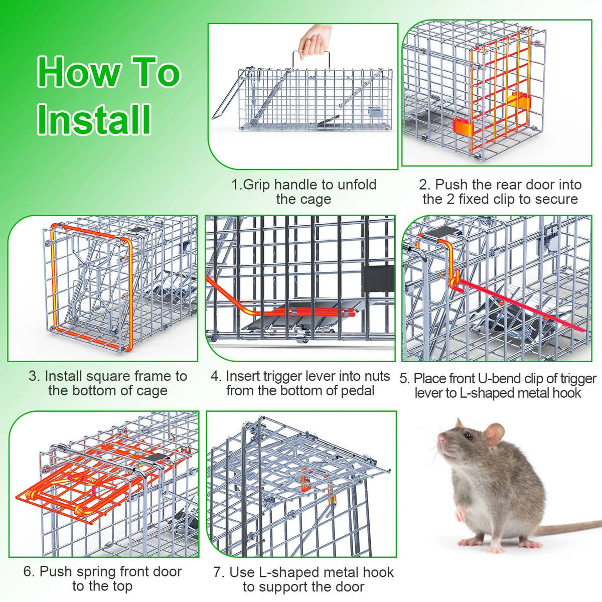 Cage de piège à rats réutilisable à haute sensibilité 2Pack – Déclencheur d'un lot rapide