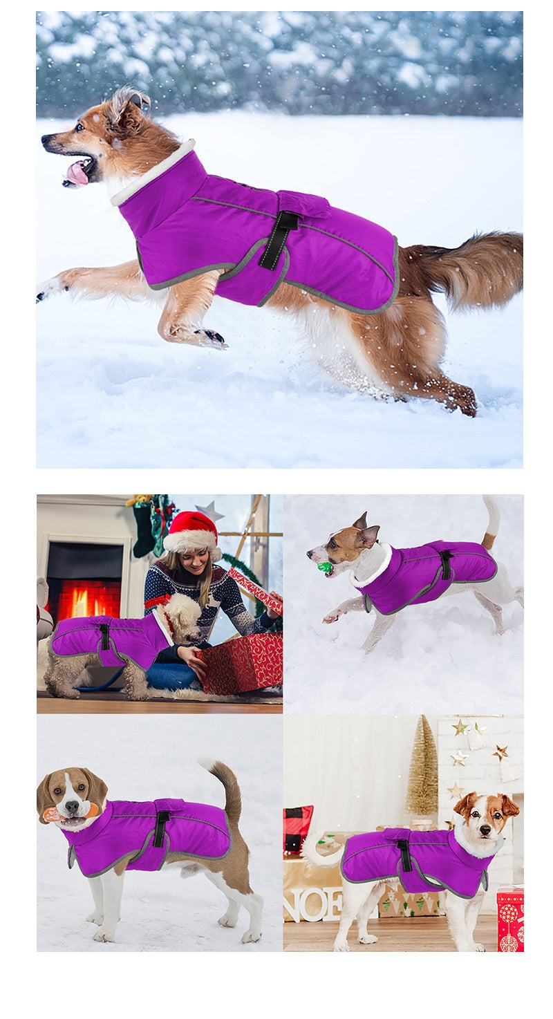 Animaux de compagnie Coton rembourré Coat Hiver Grand chien Golden Retriever Jarre Aero Bull Corgi Puppy Cloth