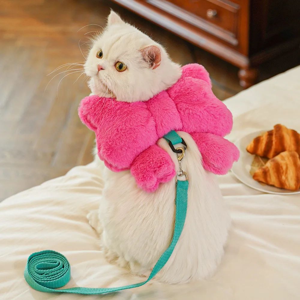 Pet Bow Cost Strrap Traction Rope de marche chien corde et chat sortir mignon Bow Self Bac