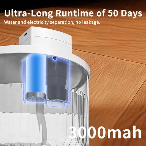 Fontaine d'eau pour animaux de compagnie