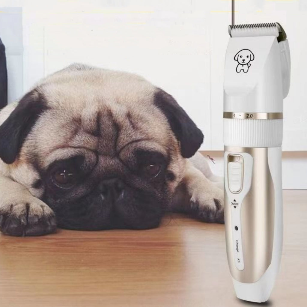 Chat chat rasoir et chien Clipper électrique