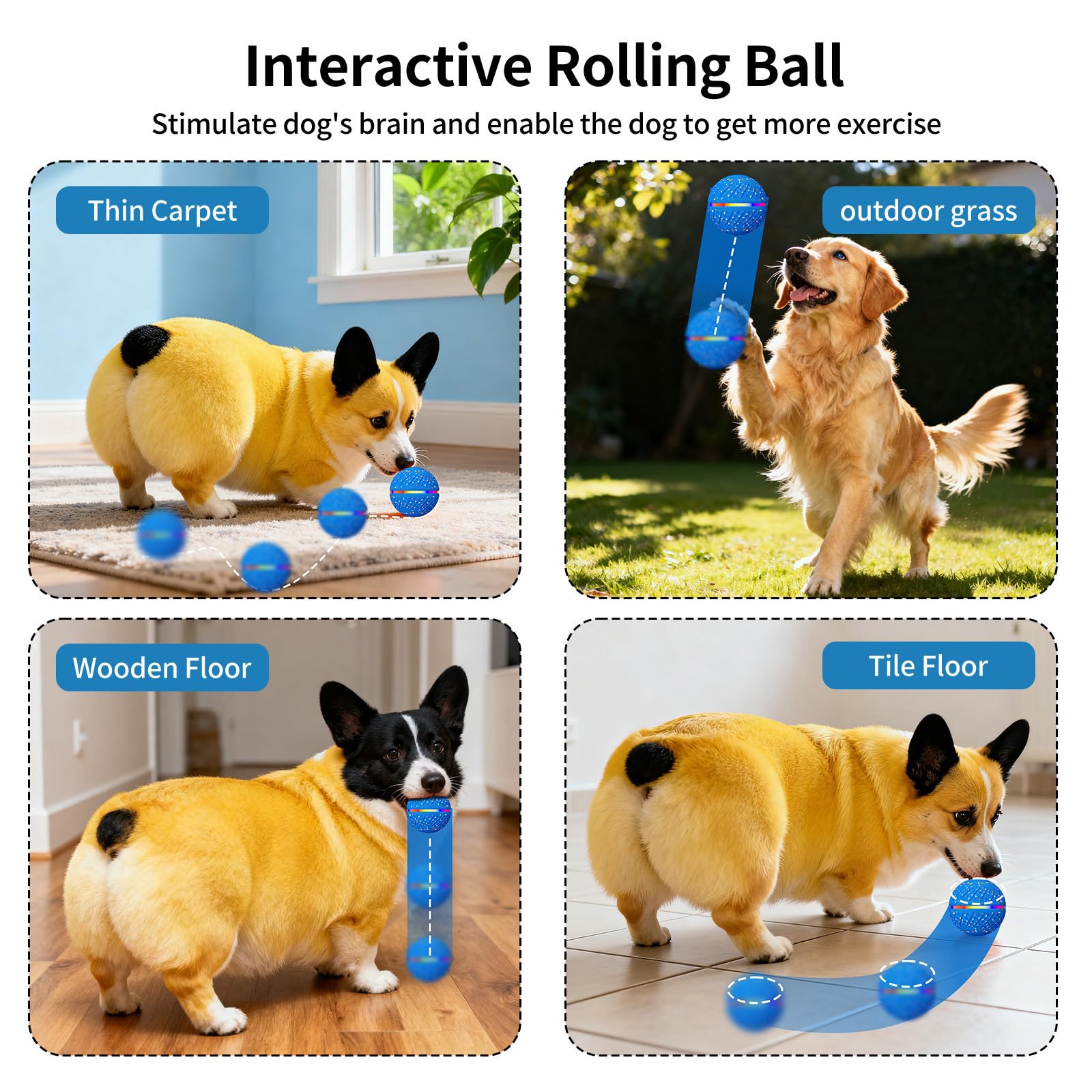 Balle interactive de jouets pour chiens