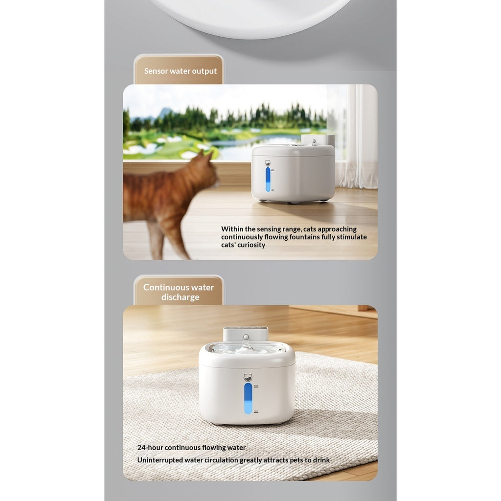 Fontaine d'eau pour animaux de compagnie filtrée sans fil intelligente