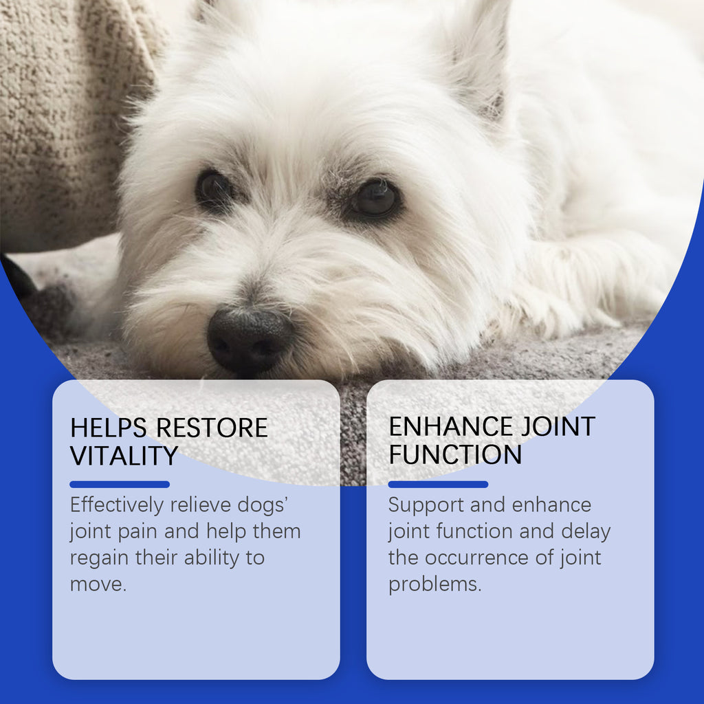 Dog Joint Relief Liquid Supplément gouttes