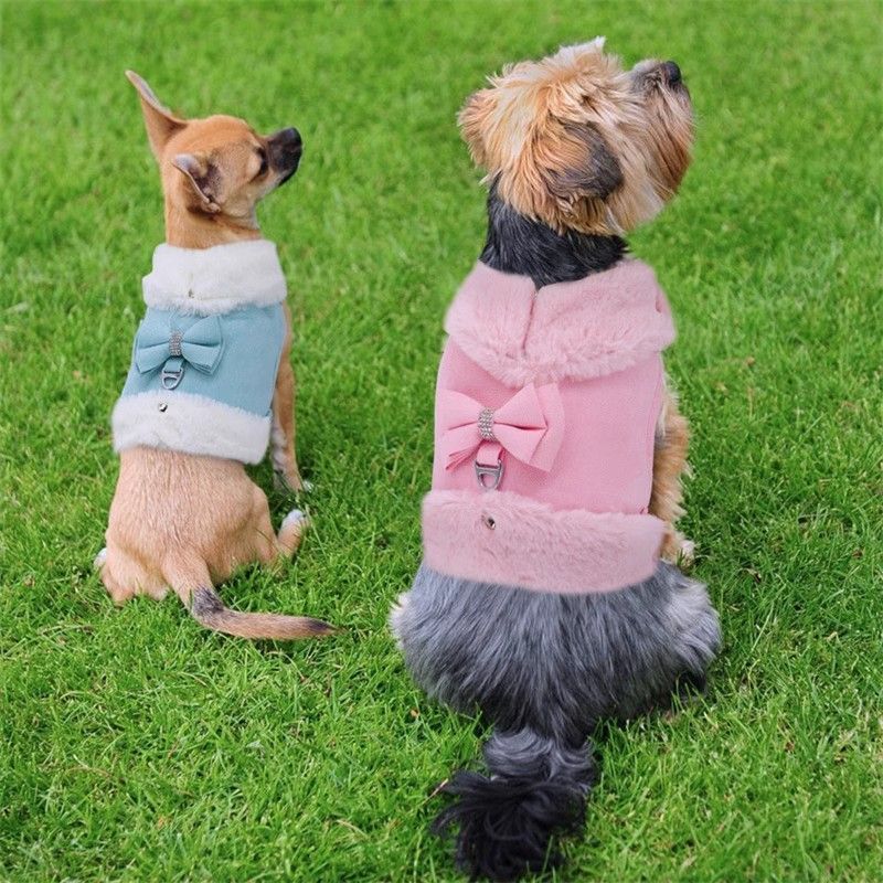 Mignon chaud petit chien Harnais et jeu de laisse avec Bow Tie