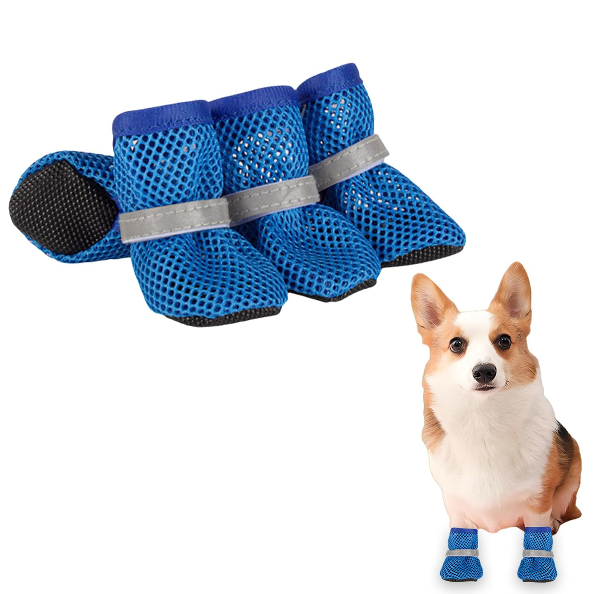 Little Dog Shoes for Pavement