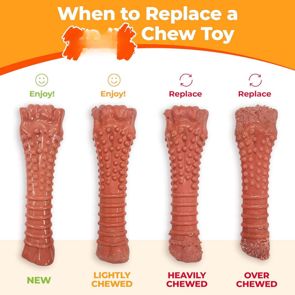 Power Chew Ring Bone Dog Toy Flavor Medley