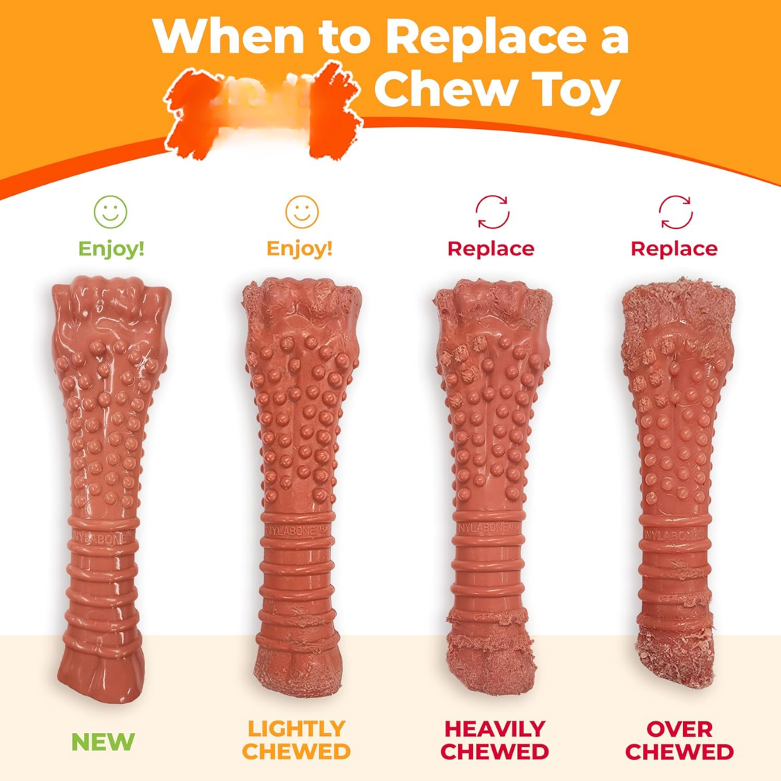 Power Chew Ring Bone Dog Toy Flavor Medley