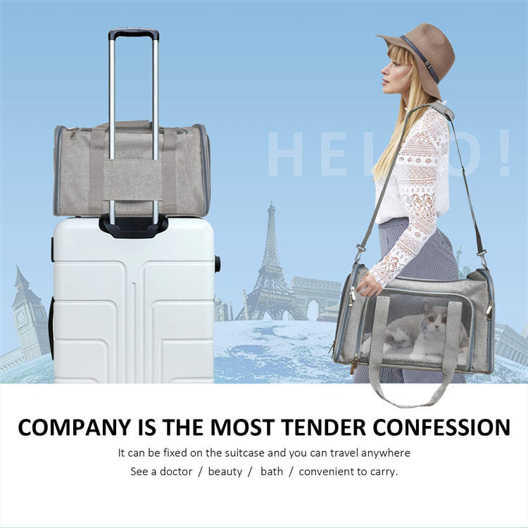 Sac de transport de chats Portable pliable Portable