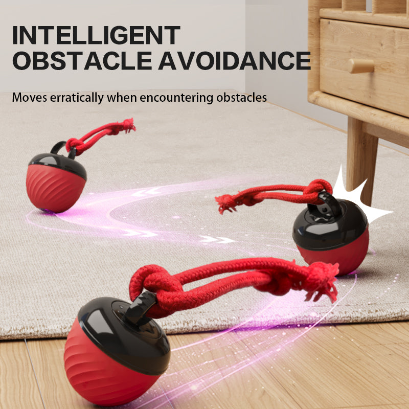 Smart Dog Chat Toy Ball Electronic Interactive Pet Toy Moving Ball Rope USB 3 Modes Automat