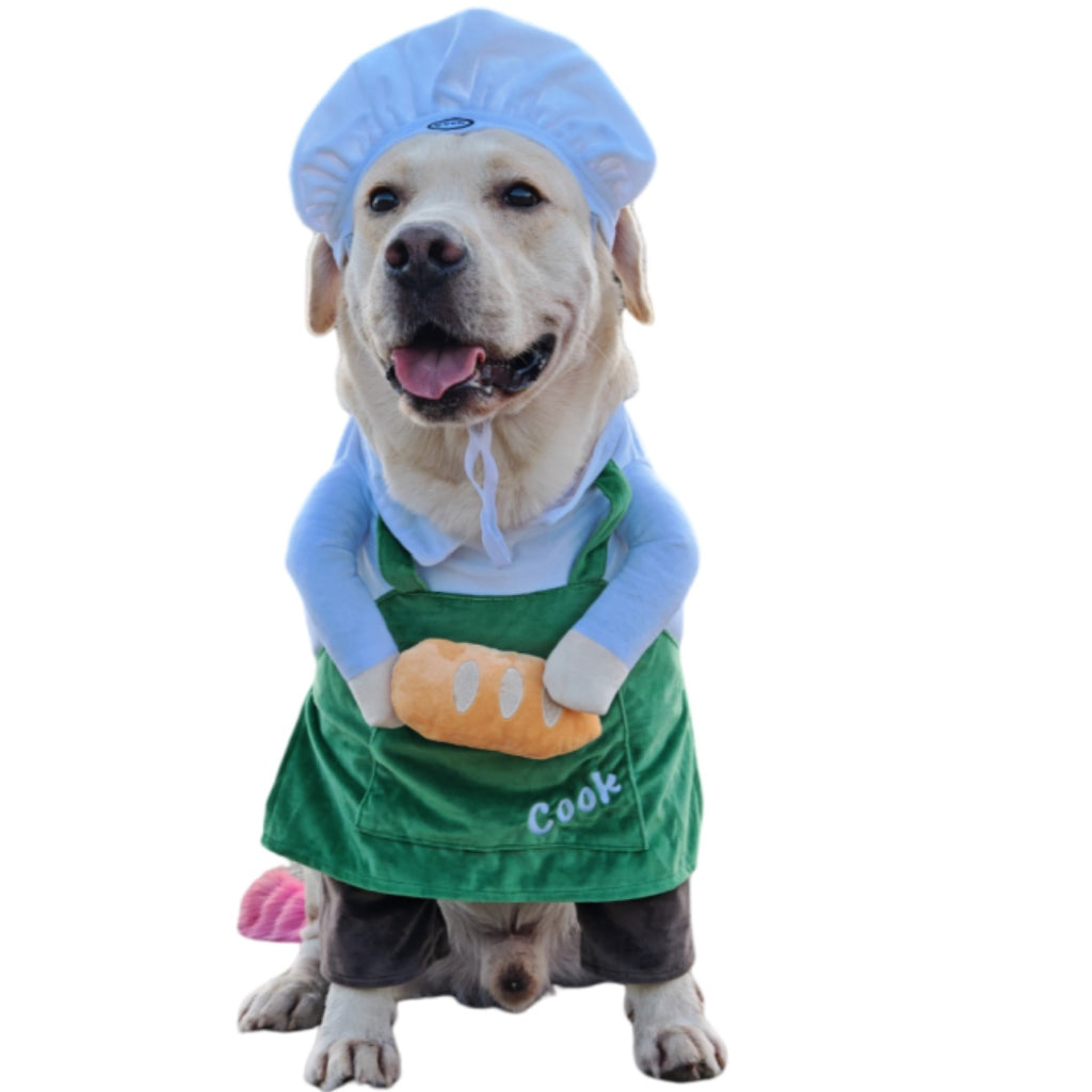 Chien Chef Déguisement Drôle Style Universal Fit