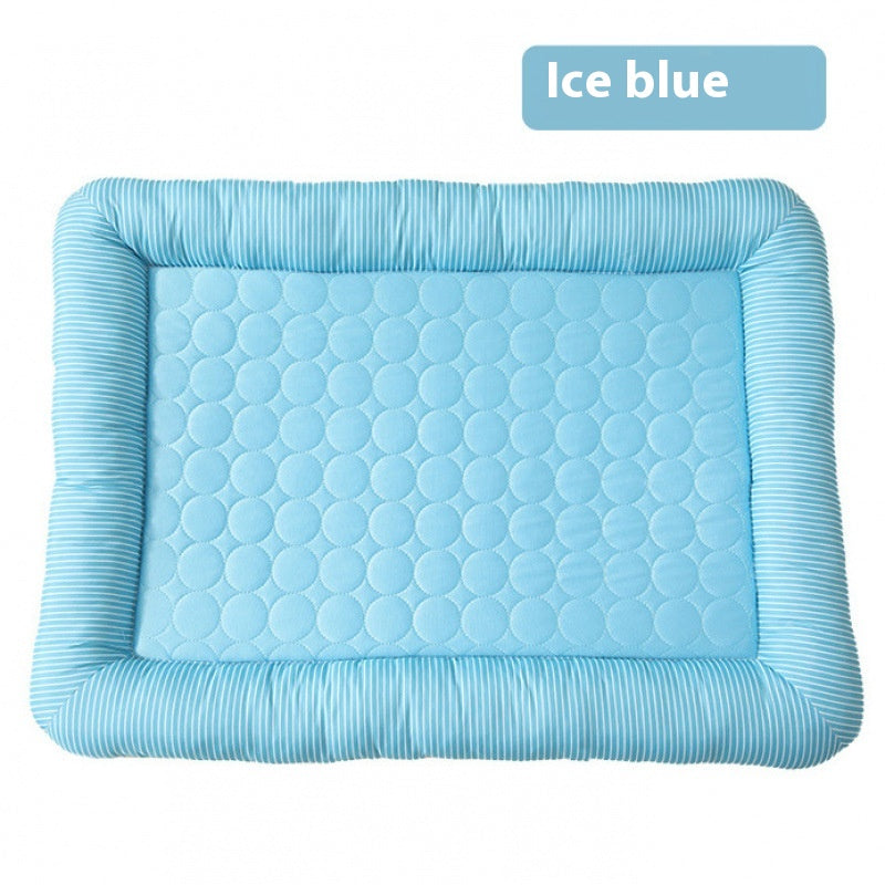 Chien de soie de glace de chat cool
