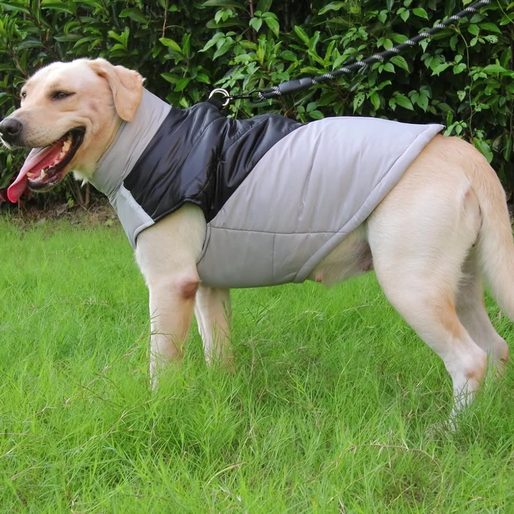 Veste de coton chaude et épaisse pour animaux de compagnie