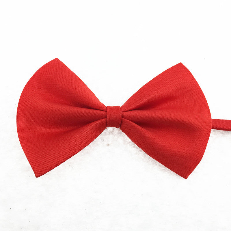 Collier pour animal de compagnie en couleur solide simple