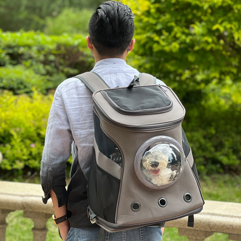 Portable pour chien et chat pour chiens de taille moyenne Style sac à dos