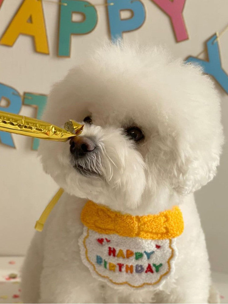 Chapeau de mode de chien de mode spécial décoration Bib