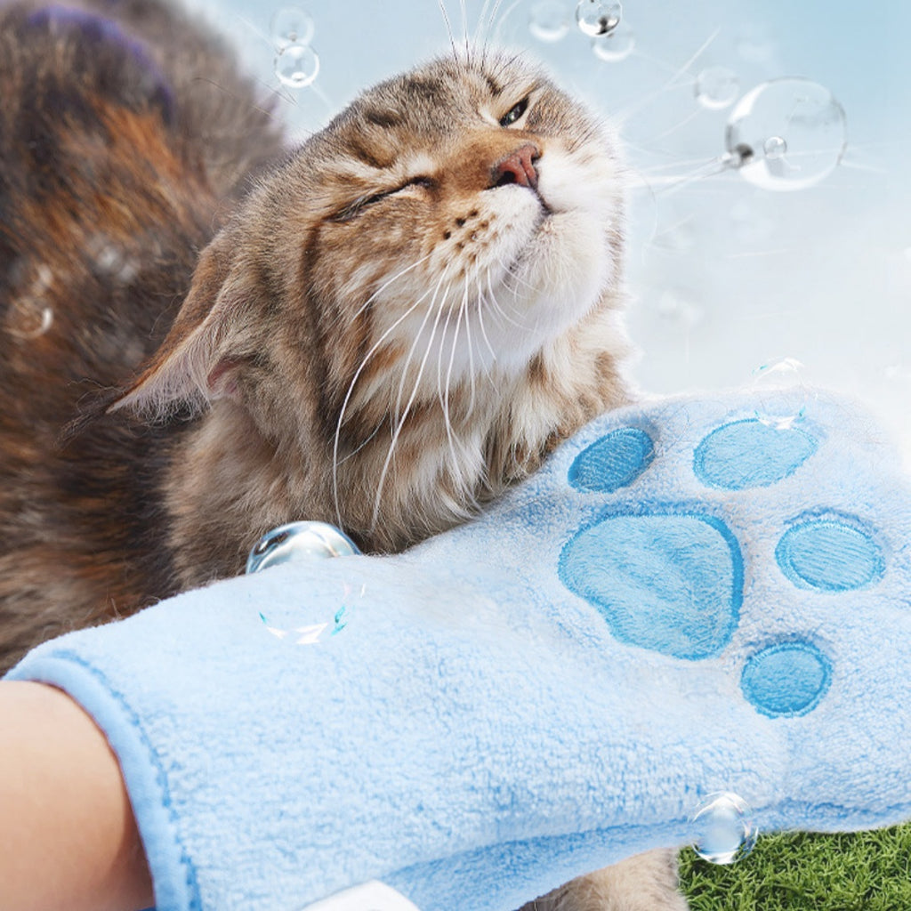 Fournitures jetables de nettoyage antibactérien pour animaux de compagnie
