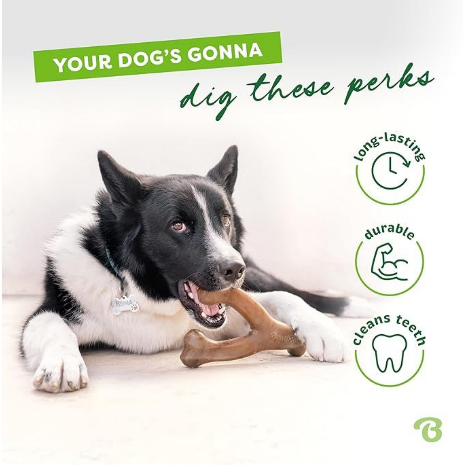 Jouet à croquer pour chien durable Wishbone pour les brochettes agressives