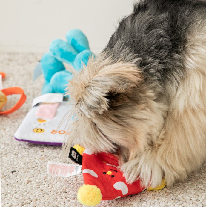 Chapeau d'anniversaire multifonctionnel pour chiens