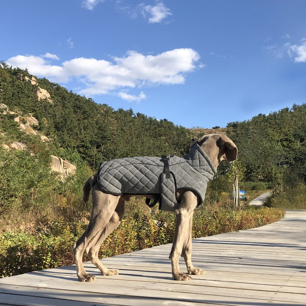 Vêtements pour animaux Veste tactique réfléchissante pour chiens