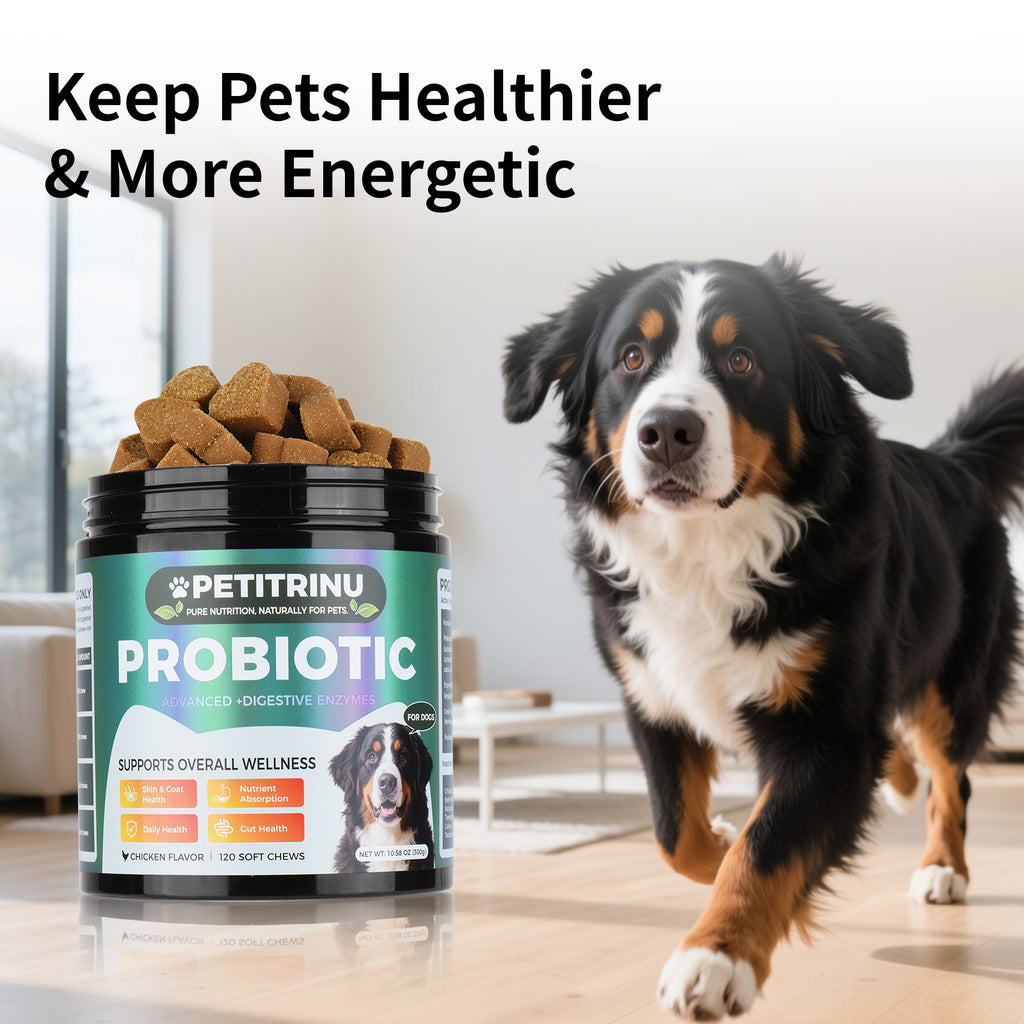 Seulement auto-pickup---probiotiques pour les chiens