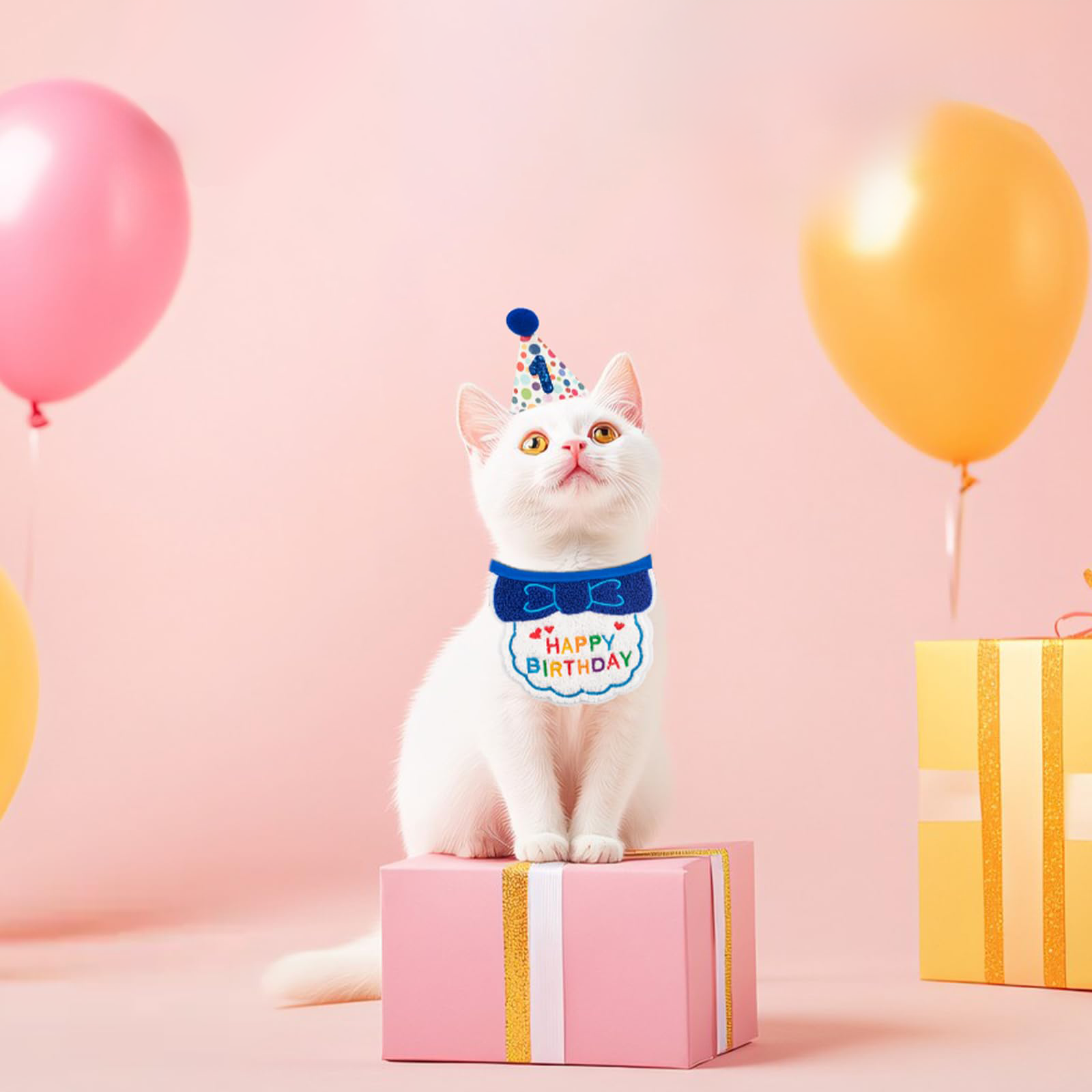 Fournitures pour fête d'anniversaire de chat
