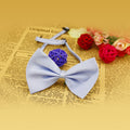 Collier pour animal de compagnie en couleur solide simple